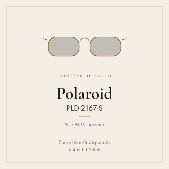 Lunettes de soleil Polaroid PLD-2167-S