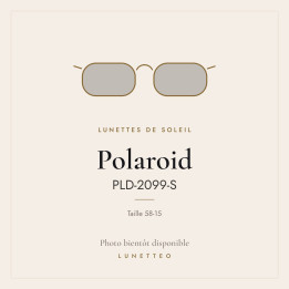 Lunettes de soleil Polaroid PLD-2099-S