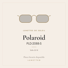 Lunettes de soleil Polaroid PLD-2088-S