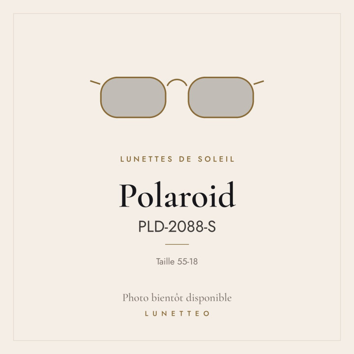 Lunettes de soleil Polaroid PLD-2088-S