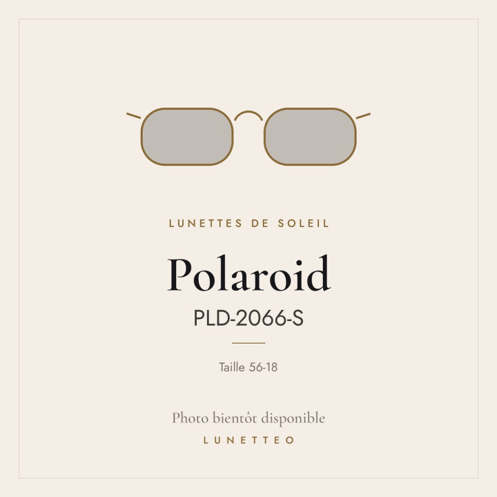 Lunettes de soleil Polaroid PLD-2066-S