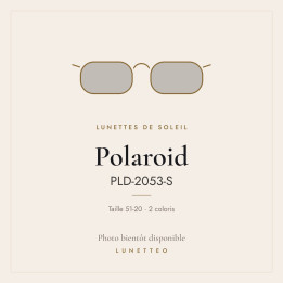 Lunettes de soleil Polaroid PLD-2053-S