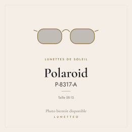 Lunettes de soleil Polaroid P-8317-A