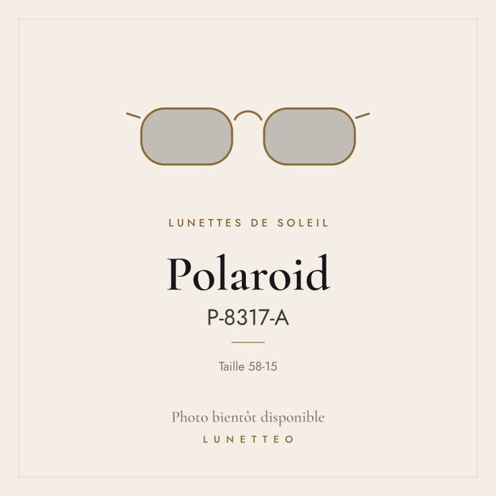 Lunettes de soleil Polaroid P-8317-A