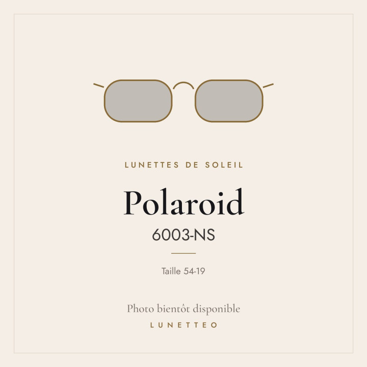 Lunettes de soleil Polaroid 6003-NS