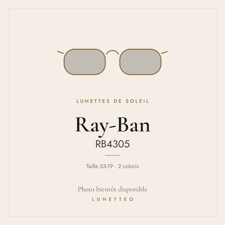 Lunettes de soleil Ray-Ban RB4305