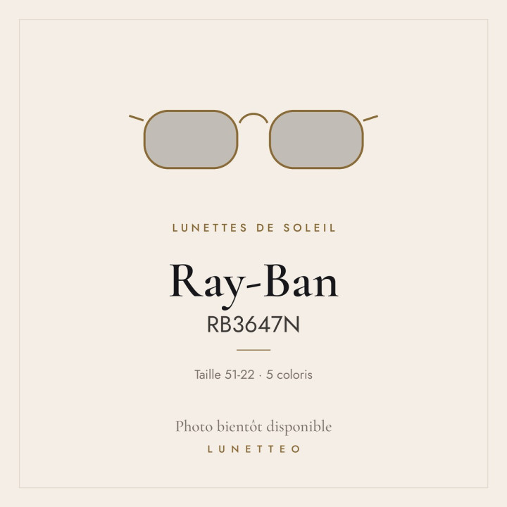 Lunettes de soleil Ray-Ban RB3647N