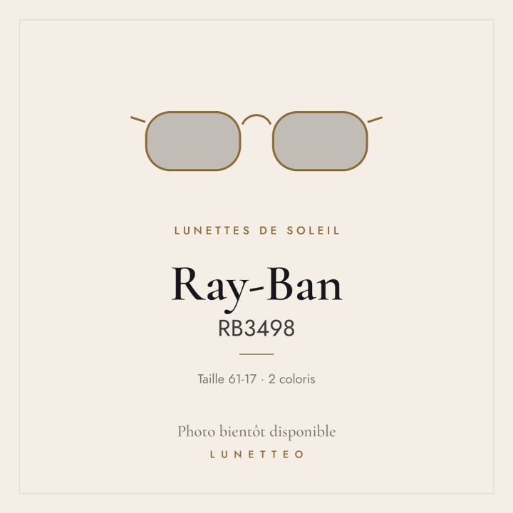 Lunettes de soleil Ray-Ban RB3498