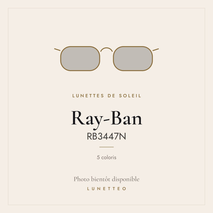 Lunettes de soleil Ray-Ban RB3447N