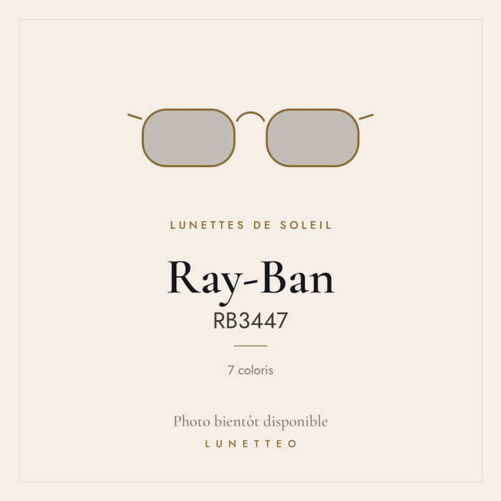 Lunettes de soleil Ray-Ban RB3447