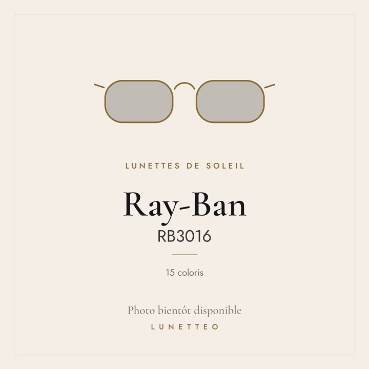Lunettes de soleil Ray-Ban RB3016