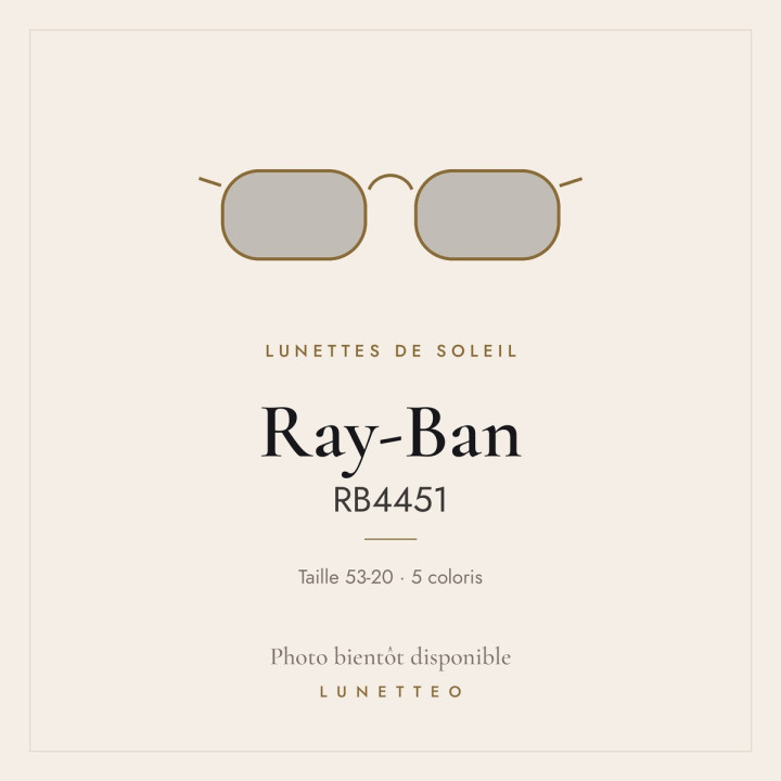 Lunettes de soleil Ray-Ban RB4451