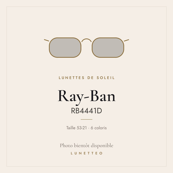 Lunettes de soleil Ray-Ban RB4441D