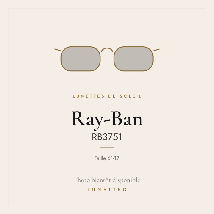 Lunettes de soleil Ray-Ban RB3751