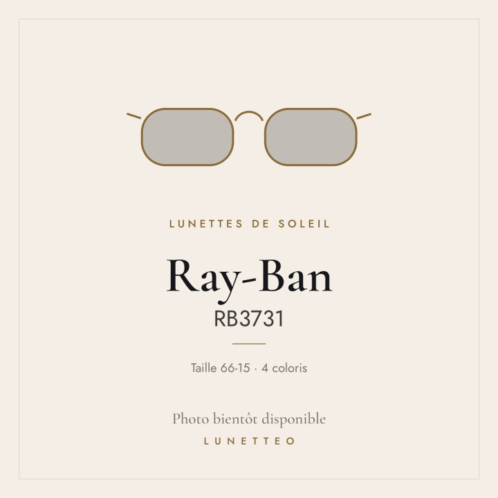 Lunettes de soleil Ray-Ban RB3731