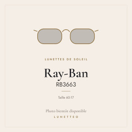 Lunettes de soleil Ray-Ban RB3663