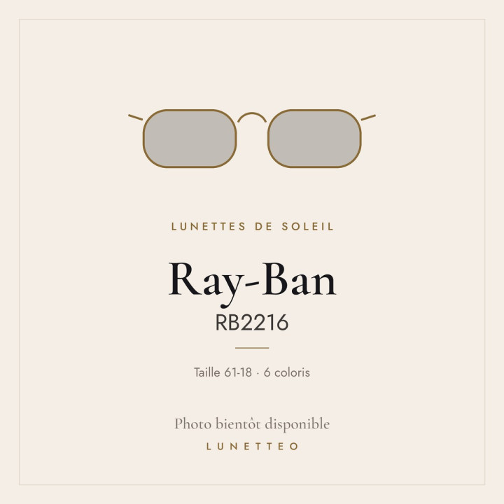 Lunettes de soleil Ray-Ban RB2216