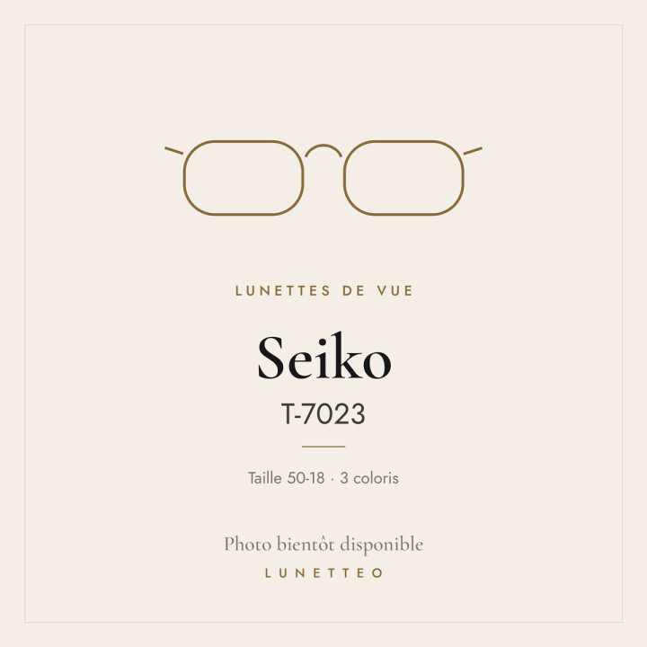 Lunettes de vue Seiko T-7023