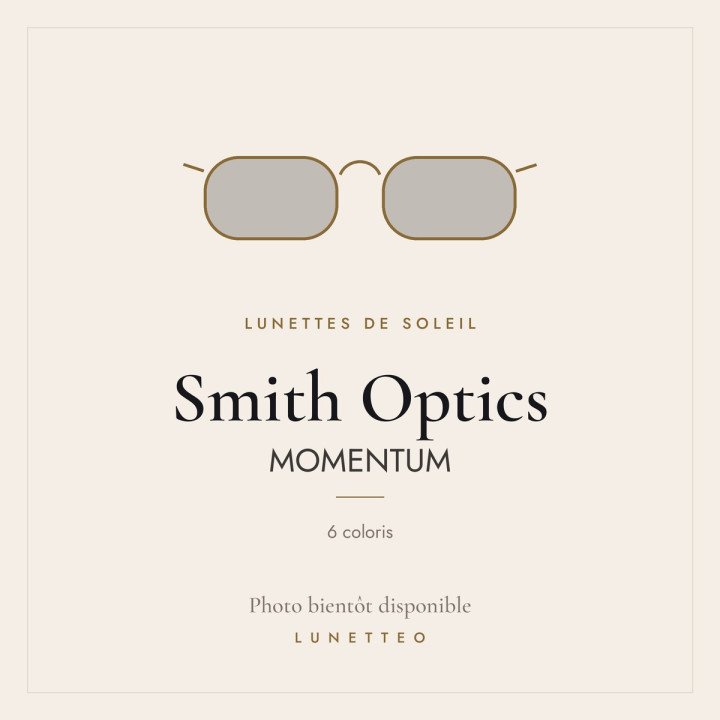 Lunettes de soleil Smith Optics MOMENTUM