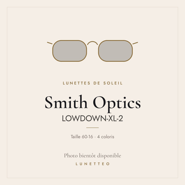 Lunettes de soleil Smith Optics LOWDOWN-XL-2