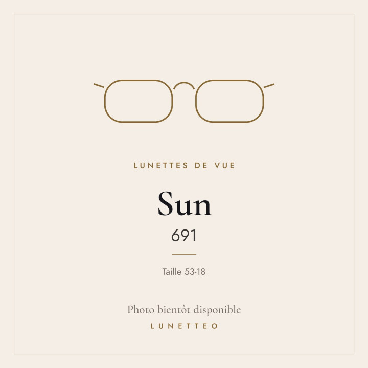 Lunettes de vue Sun 691
