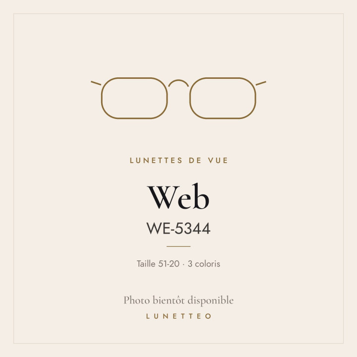 Lunettes de vue Web WE-5344