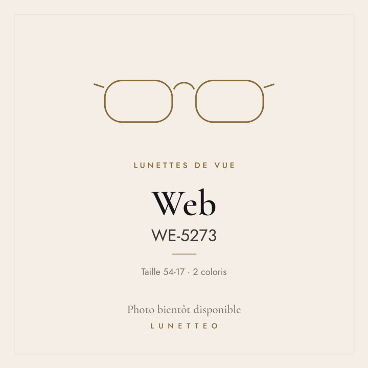 Lunettes de vue Web WE-5273