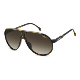 Lunettes de soleil Carrera CHAMPION/S Brown Havana / verres Brown Shaded (WR9-HA)